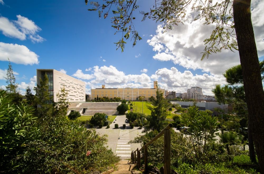 Nova University buildings landscape